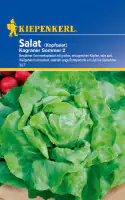 Kiepenkerl Kopfsalat Kagraner Sommer 2