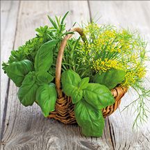 Weitere Deco-Glas Bild - Gartenkräuter 30 x 30 cm GLO769559856