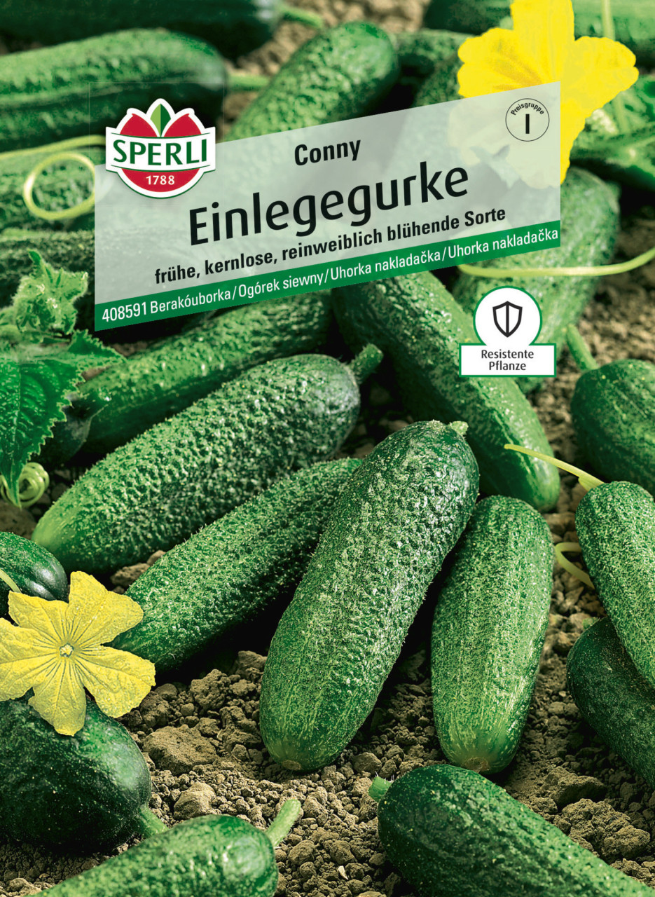 Sperli Saatgut Einlegegurken Conny F1 für ca. 20 Pflanzen GFM10b5cdadf