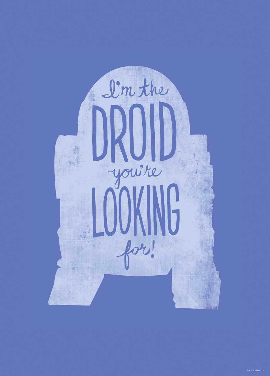 Komar Wandbild SW Silh Quotes R2D2 50 x 70 cm GLO769551686