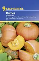 Kiepenkerl Kürbis Amazonka Cucurbita pepo, Inhalt: ca. 5 Pflanzen