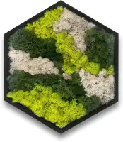 Moosbild hexagonal 38 cm mit echtem Moos