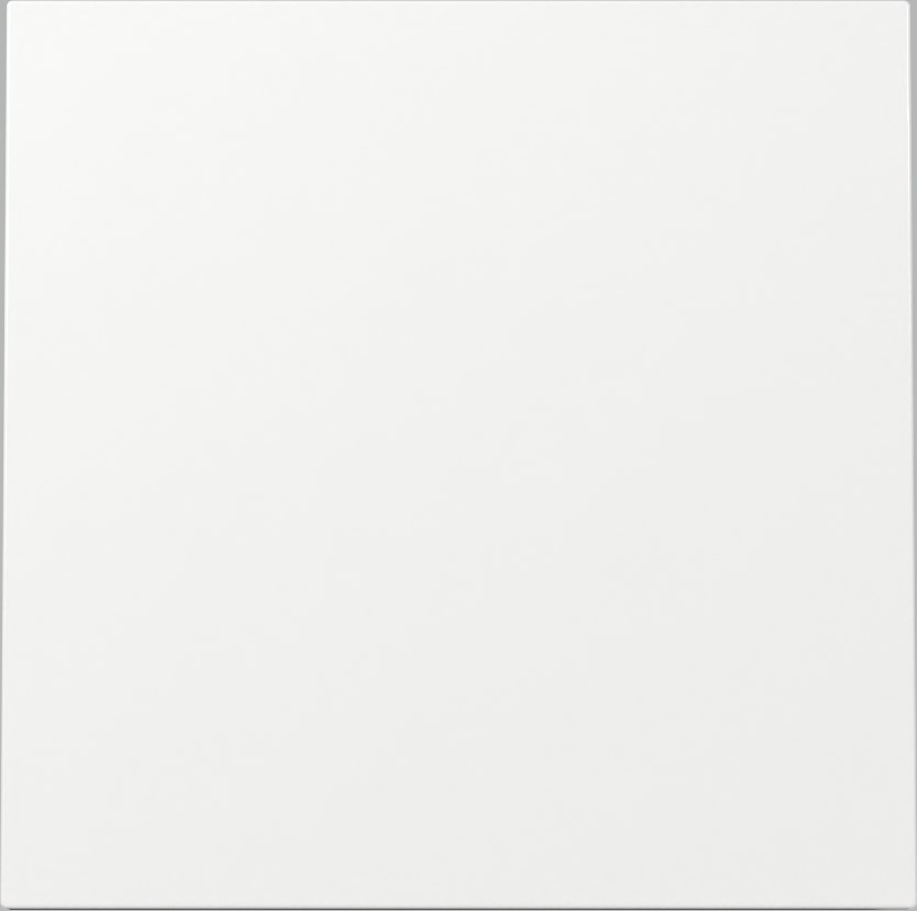 Gira Wippschalter Universal Flächenschalter reinweiß 329670 GFM57e0d7407