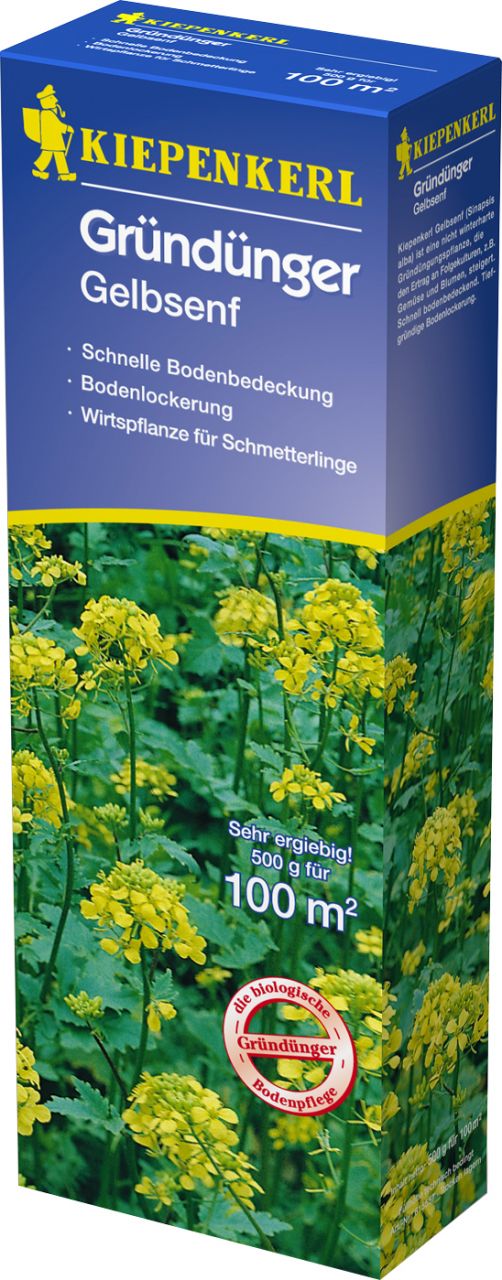 Kiepenkerl Gründünger Gelbsenf Sinapis alba, Inhalt: 500 g GLO693107783