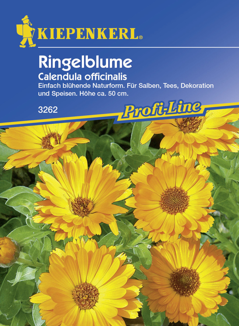 Kiepenkerl Ringelblume Calendula officinalis, Inhalt: ca. 100 Pflanzen GLO693105745
