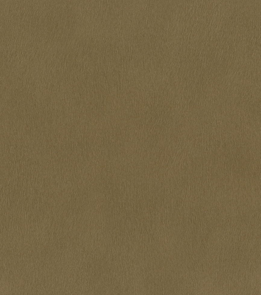 Rasch Vliestapete 751079 Braun-Goldbraun Uni 10,05 m x 0,53 m