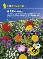 Kiepenkerl Saatgut Wildblumen 2-3 m²