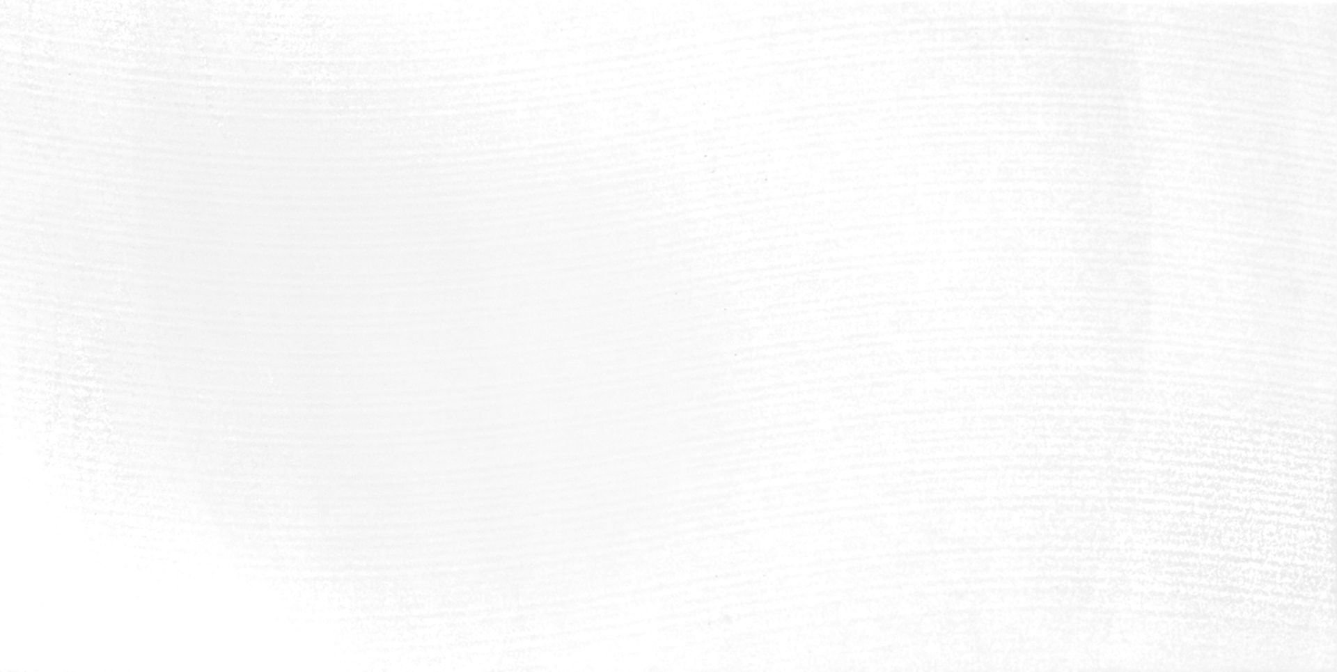 Wandfliese Silva 30 x 60 cm weiß glanz