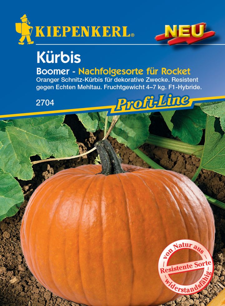 Atosa 96741 Kürbis-Verkleidung – Komplettes Kostüm Für Erwachsene In Größe 38-40