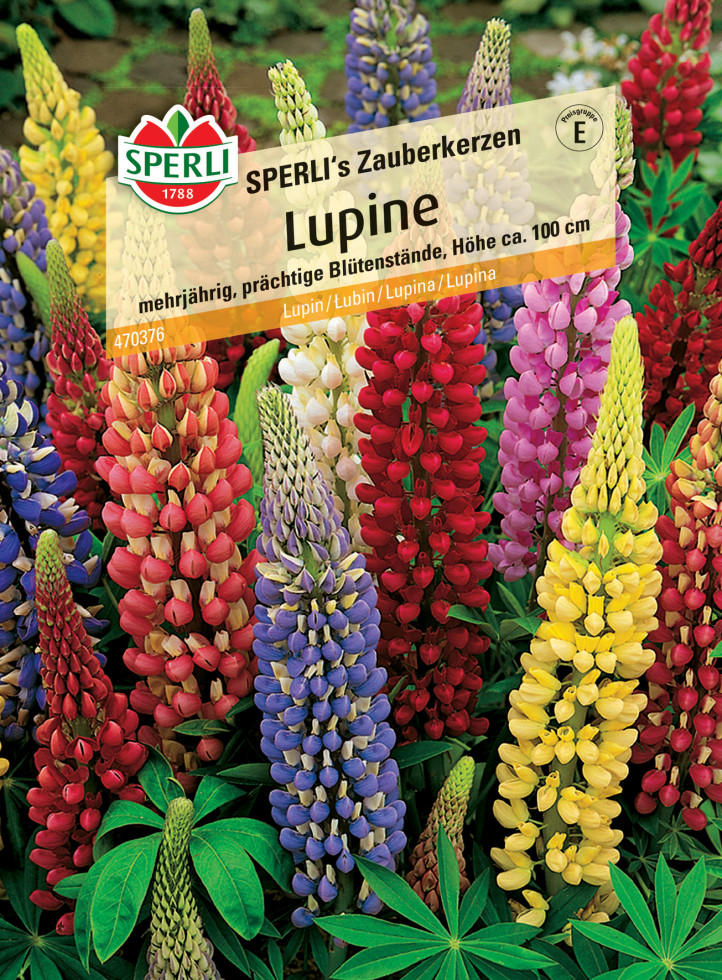 Sperli Lupine SPERLI's Zauberkerzen GLO693109333