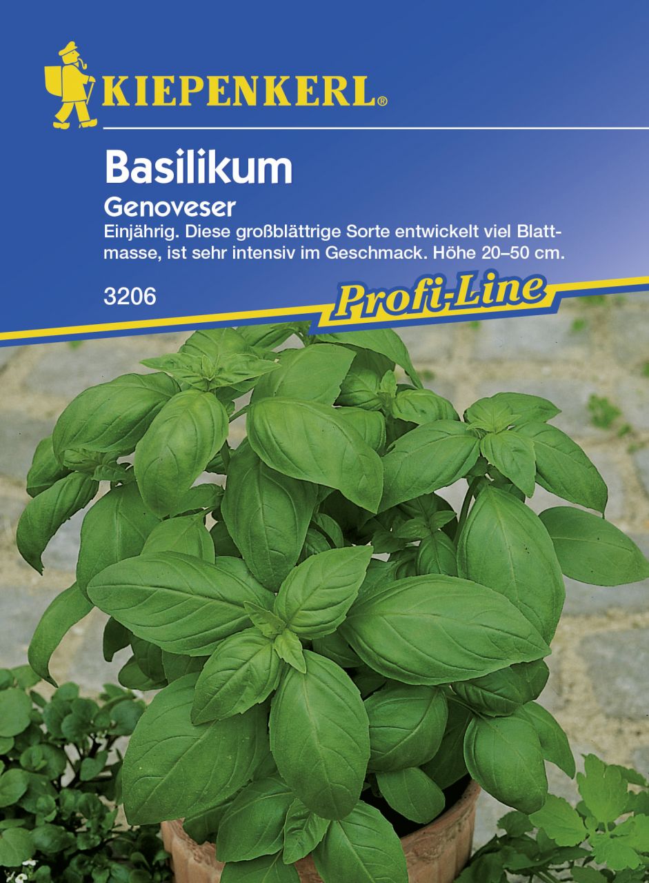 Kiepenkerl Basilikum Genoveser ca. 150 Pflanzen GLO693108981