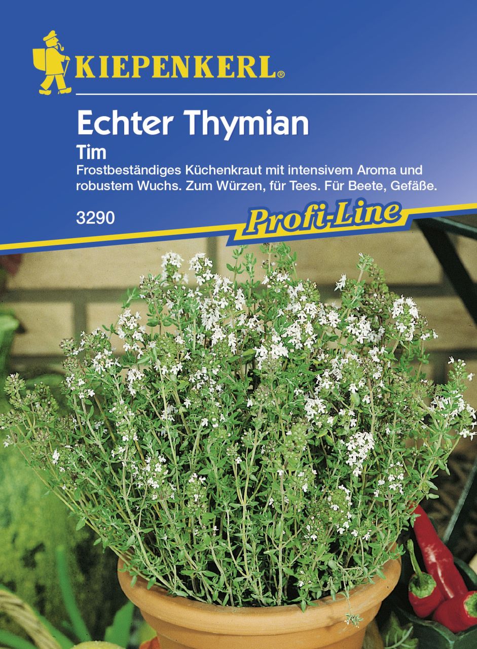 Kiepenkerl Thymian Tim Thymus vulgaris, Inhalt: ca. 80 Pflanzen GLO693105753