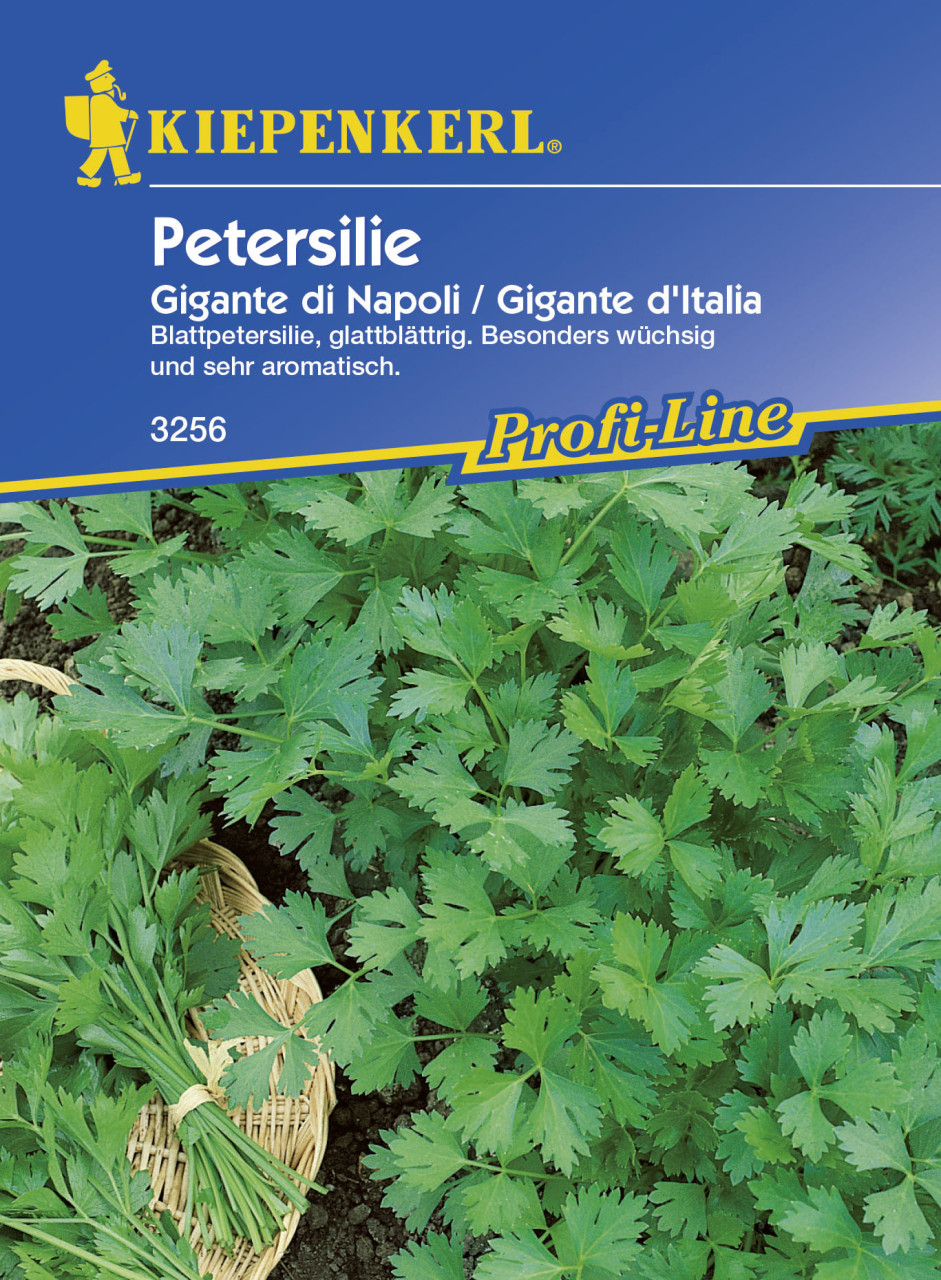 Kiepenkerl Petersilie Gigante d’Italia Petroselinum crispum var. crispum, Inhalt: ca. 400 Pflanzen GLO693105742