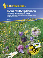 Kiepenkerl Bienenfutterpflanze mehrjährig Inhalt: 5 - 8 m²