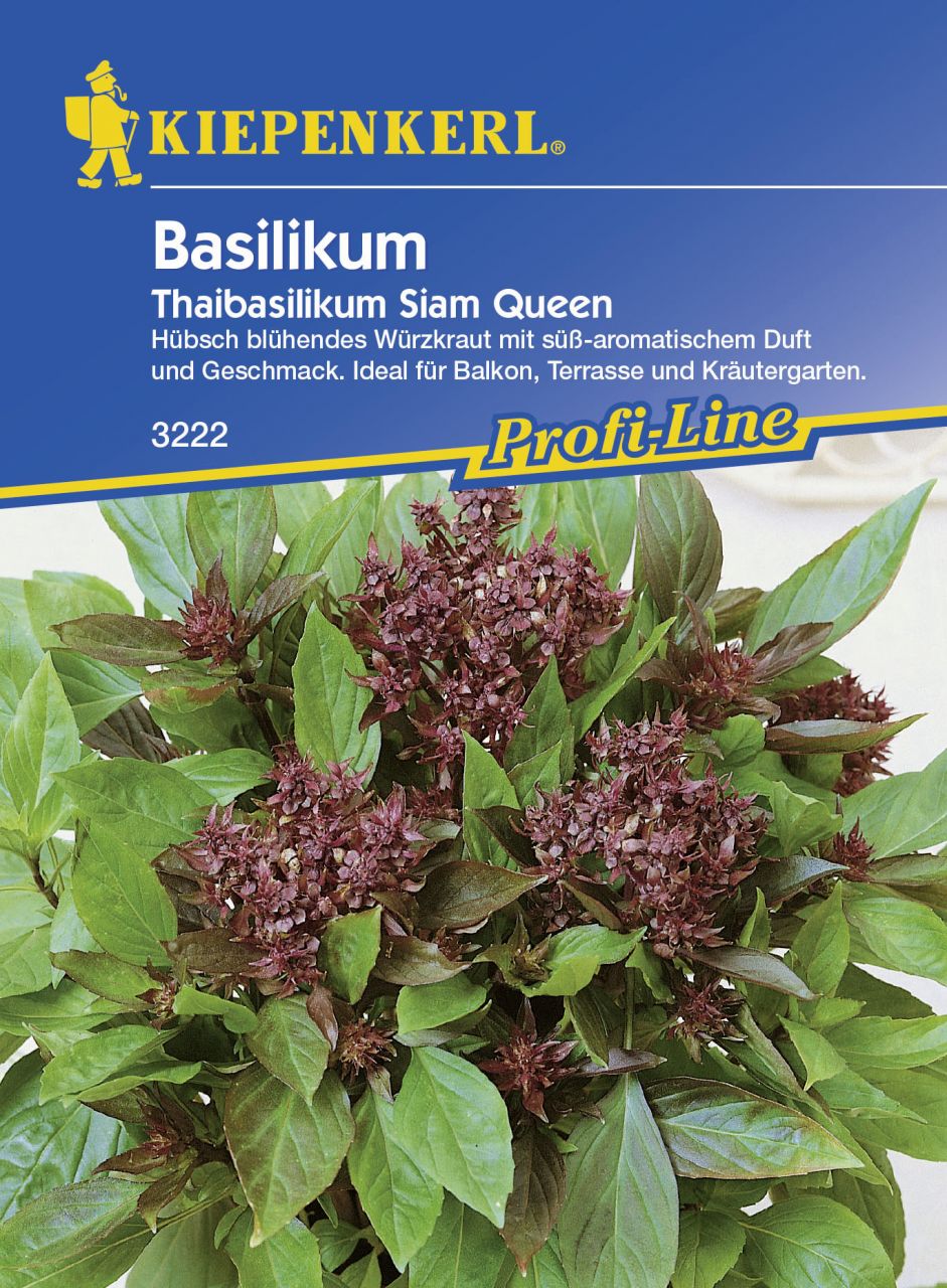 Kiepenkerl Basilikum Thaibasilikum Siam Queen Ocimum basilicum, Inhalt: ca. 150 Pflanzen GLO693107760