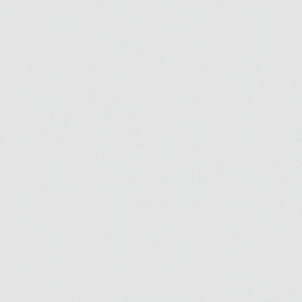 Gutta Polystyrolplatte glatt 200 x 100 cm 2,5 mm opal GLO779401549