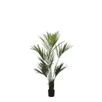 Mica Kunstpflanze Kentiapalme grün, 150 x 90 cm
