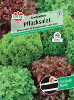 Sperli Pflücksalat Pflücksalat-Kombination Saatband