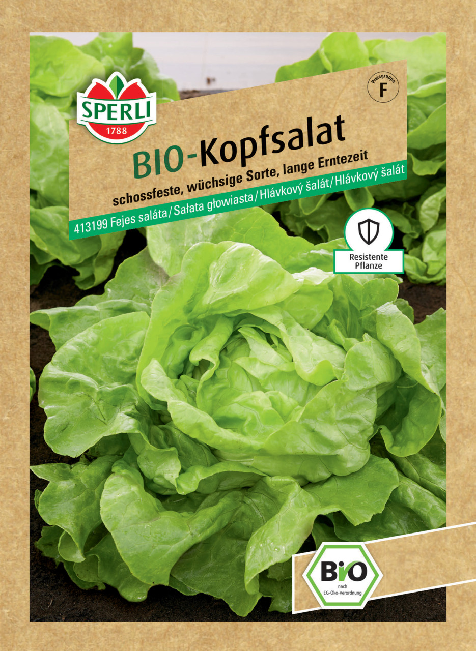 Sperli BIO Kopfsalat