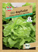 Sperli BIO Kopfsalat