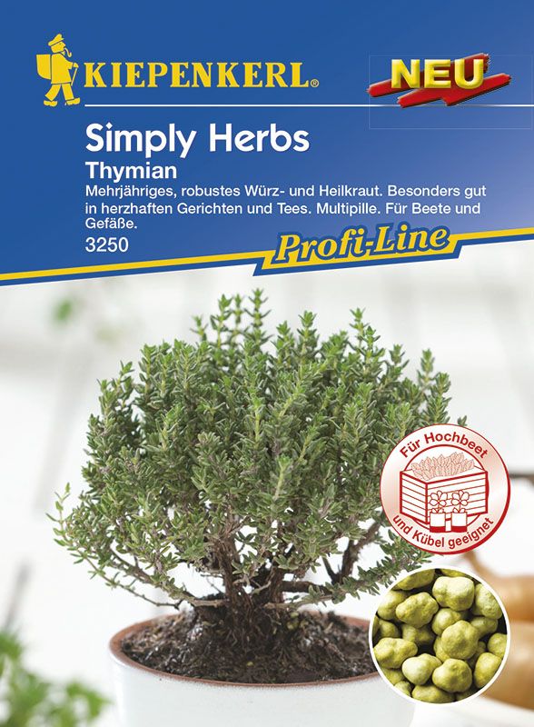 Kiepenkerl Thymian Thymus vulgaris, Inhalt: ca. 15 Pflanzen GLO693108047
