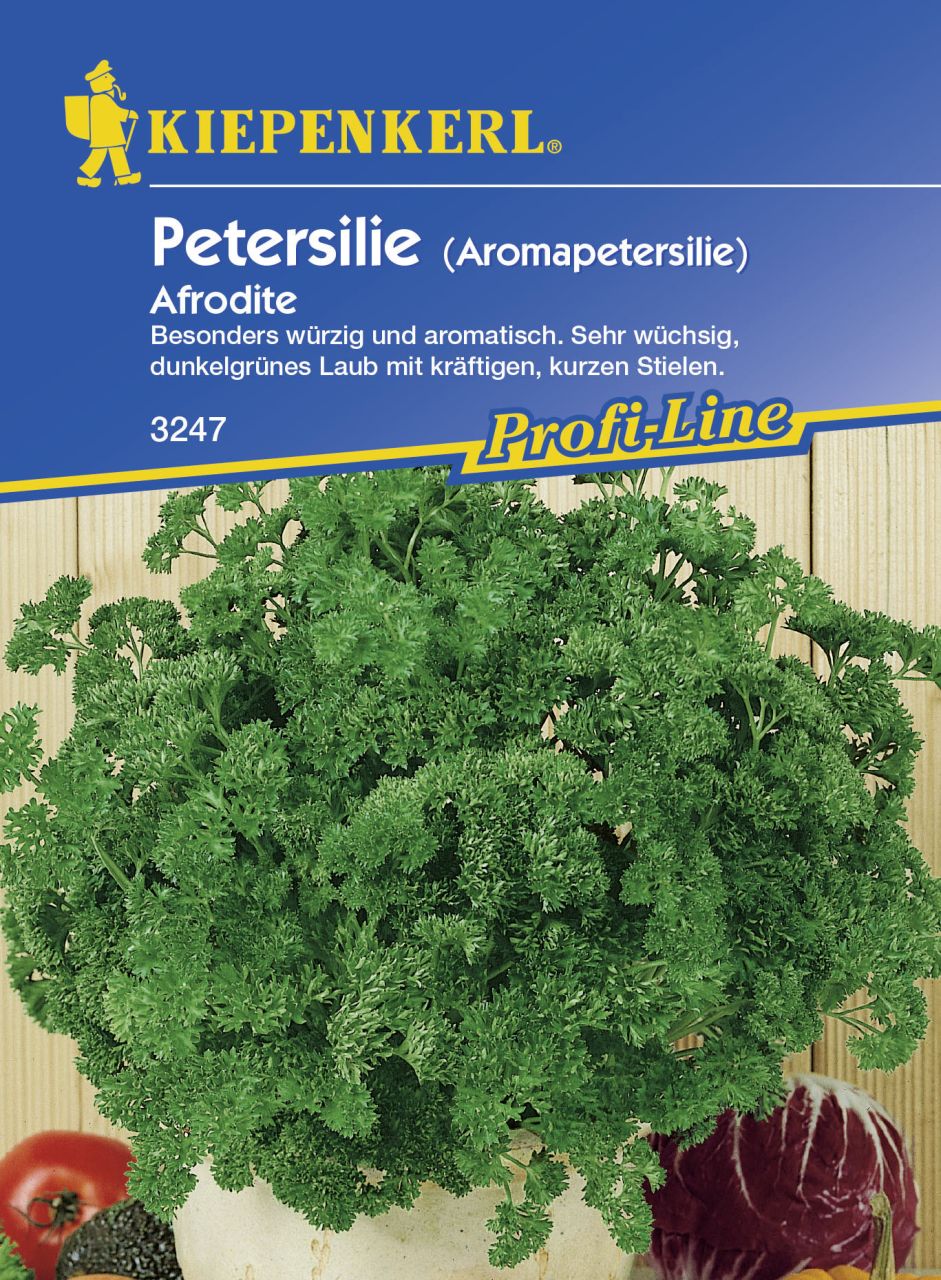 Kiepenkerl Petersilie Afrodite Petroselinum crispum var. crispum, Inhalt: ca. 350 Pflanzen GLO693105737