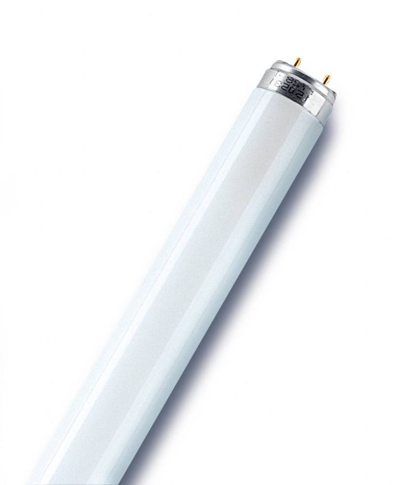 Osram Leuchtstoffröhre G13 15W warmweiß, dimmbar, weiß matt 45,16 cm