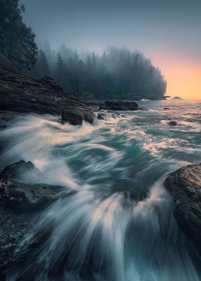 Komar Vlies Fototapete Cry of the Sea 200 x 280 cm GLO769551024