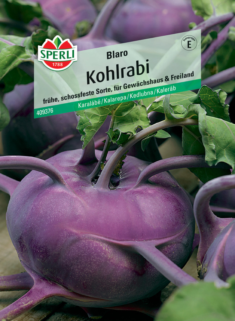 Sperli Kohlrabi Blaro GLO693109719