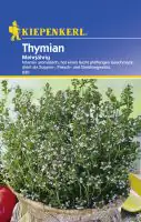 Kiepenkerl Thymian Thymian mehrjährig Thymus vulgaris, Inhalt: ca. 100 Pflanzen
