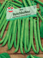Sperli Buschbohne Saxa