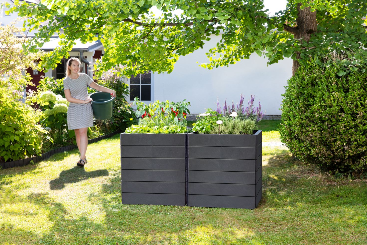 Garantia Hochbeet Ergo Quadro M 60 x 80 x 25 cm (L x B x H) kaufen