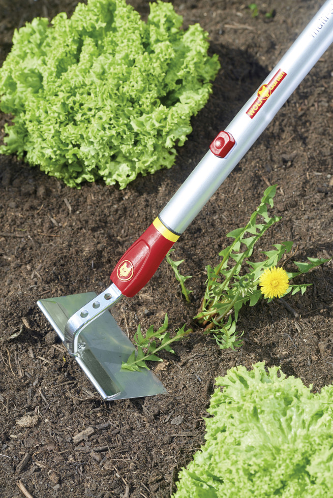 Wolf Garten Hacke HWM 15 MultiStar, 15 cm Arbeitsbreite kaufen
