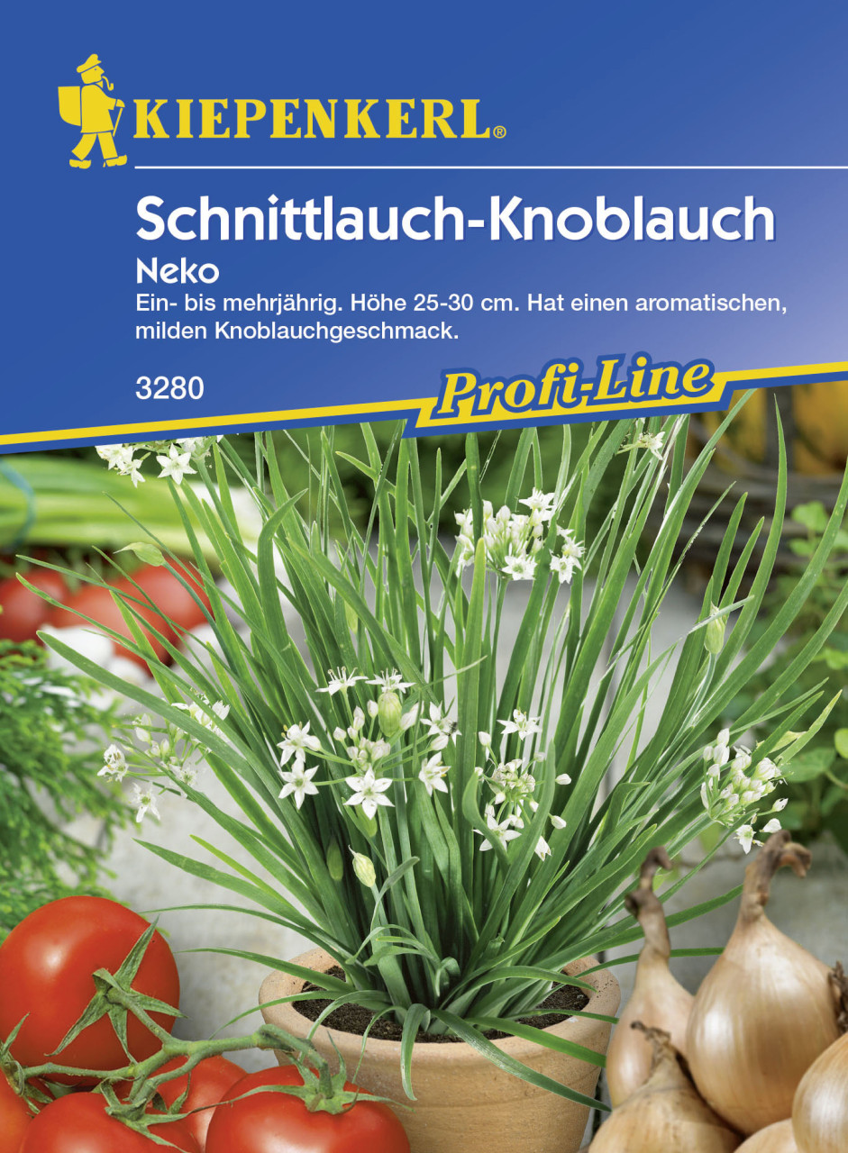 Kiepenkerl Schnittknoblauch Neko Allium tuberosum, Inhalt: ca. 100 Pflanzen GLO693105752
