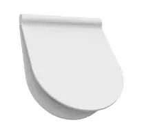 Primaster WC-Sitz Seattle abnehmbar, mit Absenkautomatik