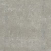 Bodenfliese Feinsteinzeug Beton 60 x 60 cm grau