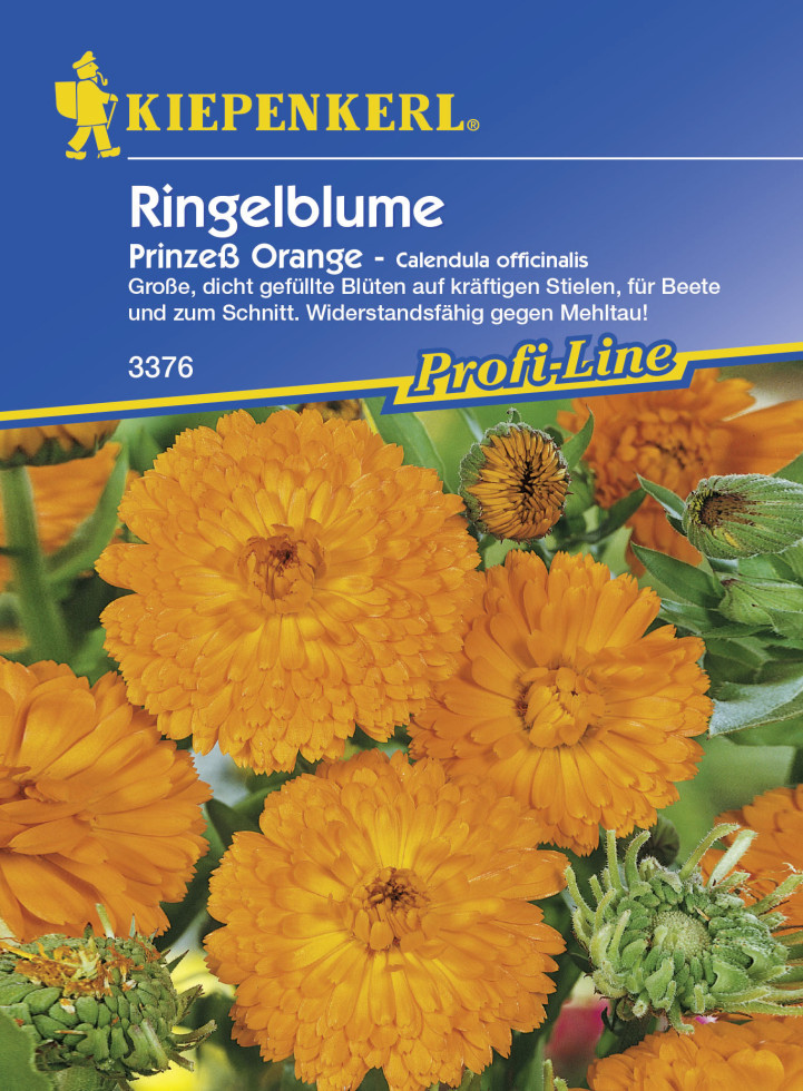 Kiepenkerl Ringelblume Prinzeß Orange Calendula officinalis, Inhalt ca