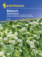 Kiepenkerl Bärlauch Waldknoblauch Allium ursinum, Inhalt: ca. 35 Pflanzen