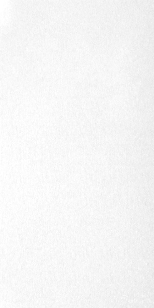 Wandfliese Cali 30 x 60 cm weiß glanz