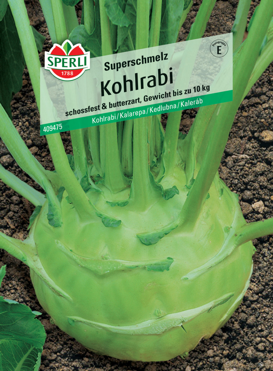 Sperli Kohlrabi Superschmelz GLO693109749