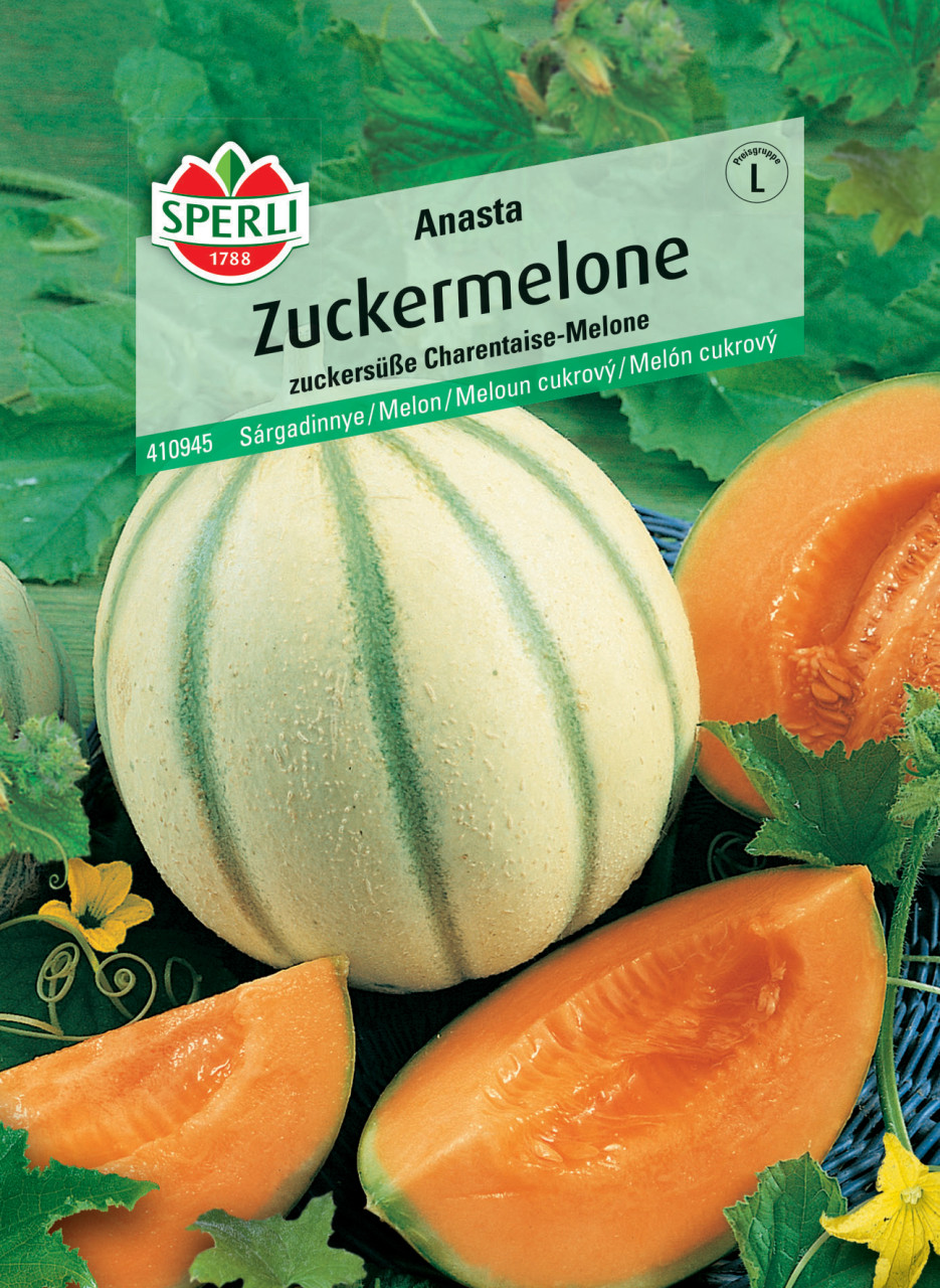 Sperli Zuckermelone Anasta F1