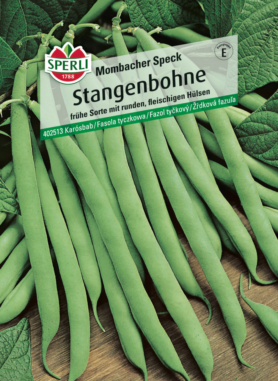 Sperli Saatgut Stangenbohnen Mombacher Speck für ca. 13-18 Stangen