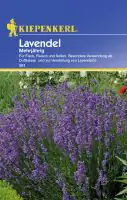 Kiepenkerl Lavendel Lavendel mehrjährig Lavandula angustifolia, Inhalt: ca. 100 Pflanzen