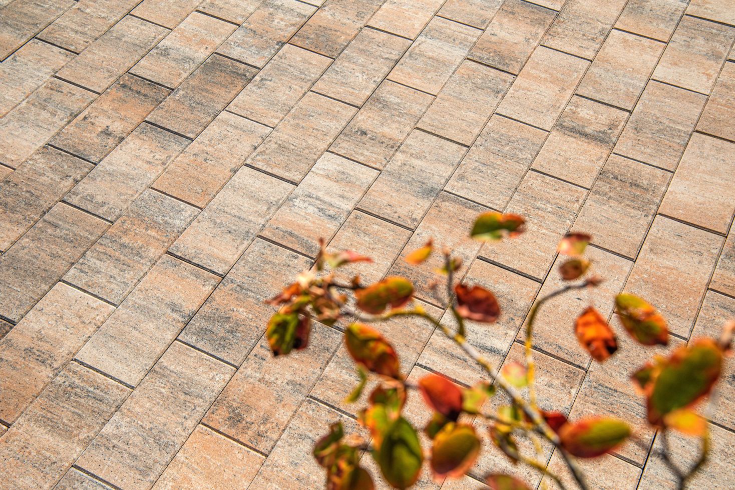 Diephaus Terrassenplatte Clever 40 x 20 x 4 cm muschelkalk kaufen
