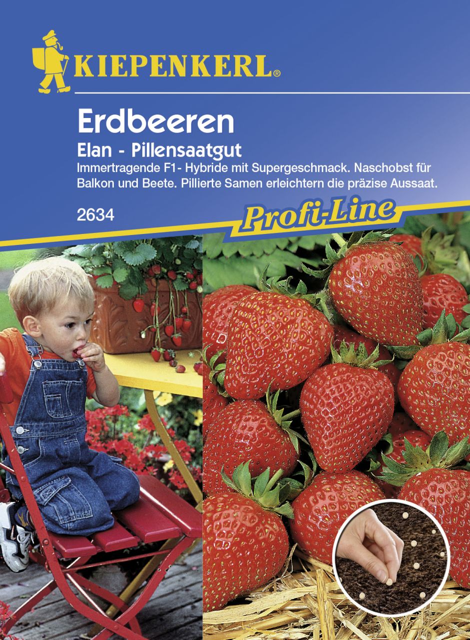 Kiepenkerl Erdbeere Elan Fragaria ananassa, Inhalt: 8 Pillen GLO693105598