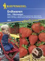 Kiepenkerl Erdbeere Elan Fragaria ananassa, Inhalt: 8 Pillen