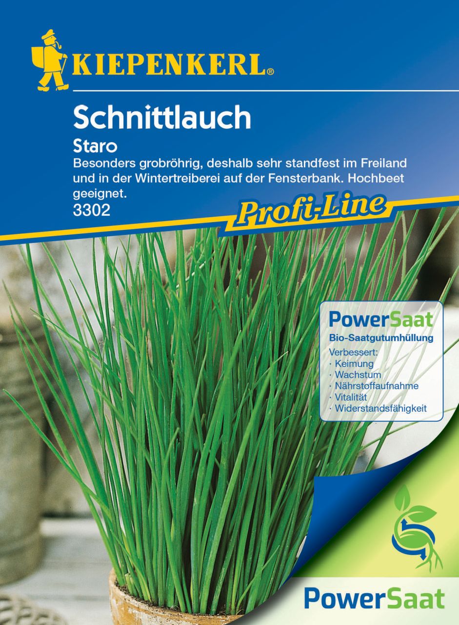 Pflanzen Kiepenkerl Schnittlauch Staro PowerSaat GLO693109112