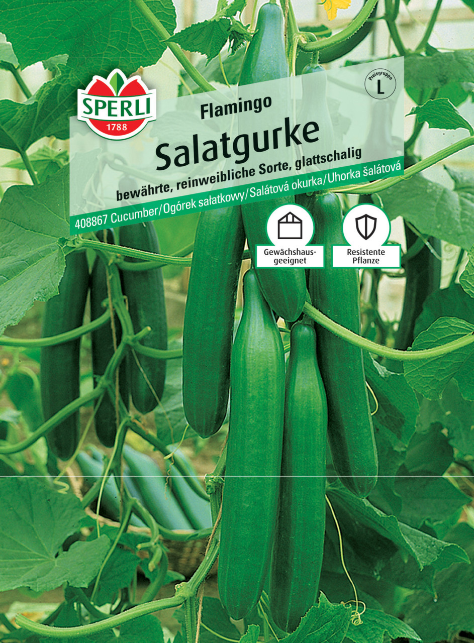 Sperli Salatgurke Flamingo F1 GLO693109712