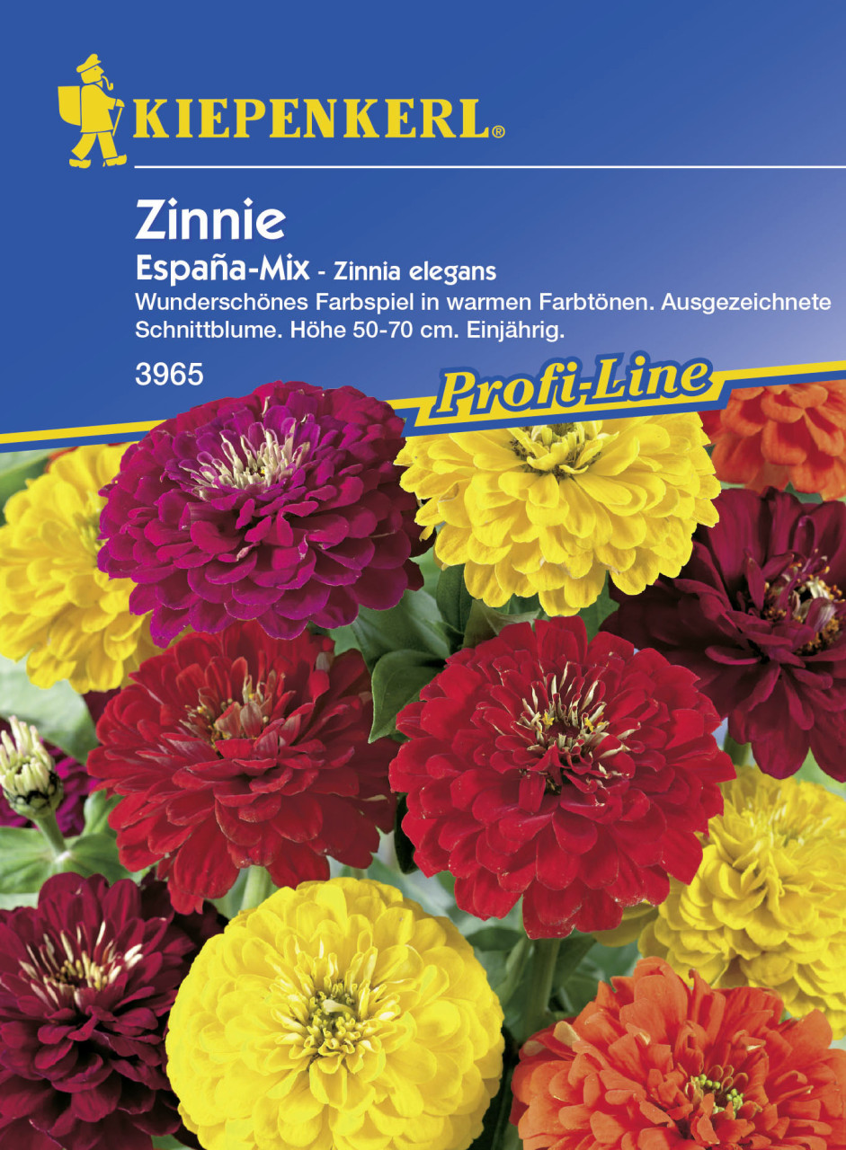 Kiepenkerl Zinnie Espana Zinnia elegans, Inhalt: ca. 70 Pflanzen GLO693105887