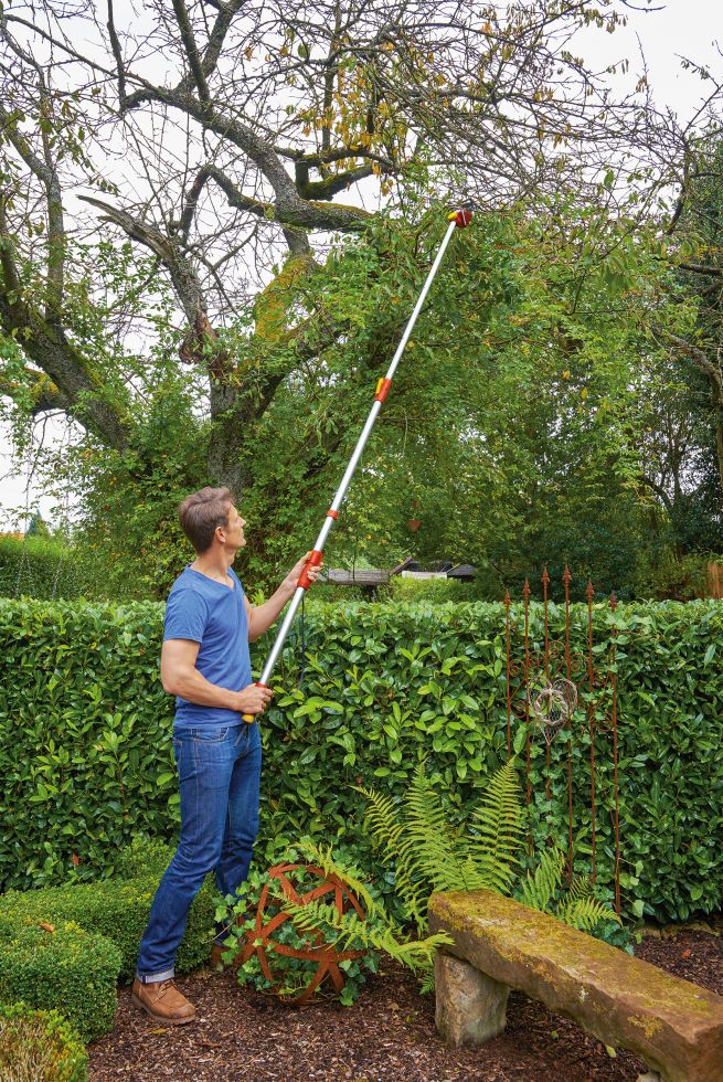 33+ Garten Profi, Sie haben zwei möglichkeiten, um bei gartenbau.org